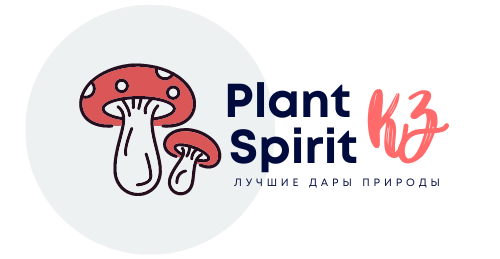 Plantspirit.kz